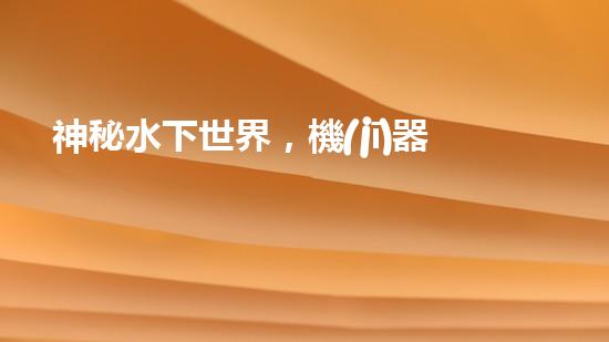 神秘水下世界，機(jī)器人探秘的奇幻之旅！
